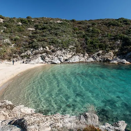Stavroula's Paradise House Συκιά