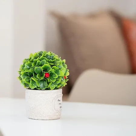 Aparthotel Stavroula's Paradise House 3*